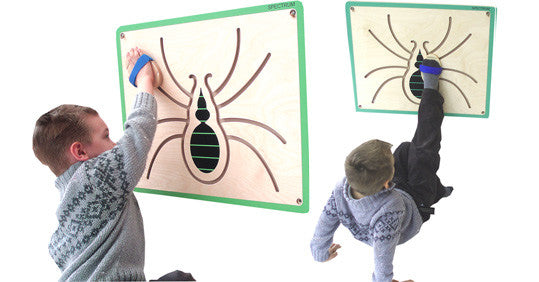 Spider Wall Toy