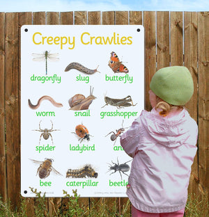 Creepy Crawly Outdoor Board